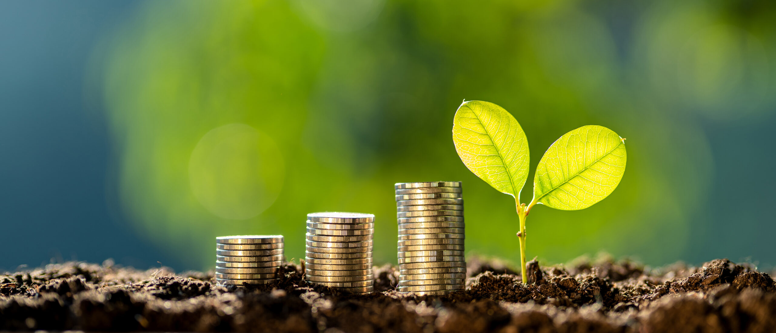 symbolic scene featuring stacks of coins and a small plant growing from soil.